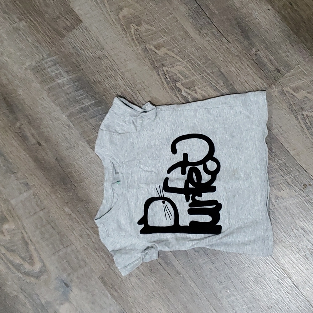 Dip Perfect Cat T-shirt 4T